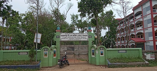 image-here